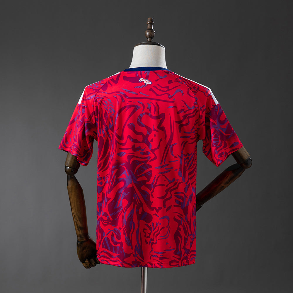 Maillot Costa Rica Domicile 2026