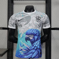 Maillot Brésil concept saison 2025/26 édition spécial